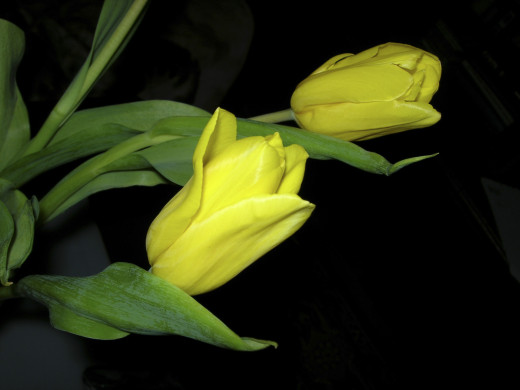 427440 (a): :1600x1200
